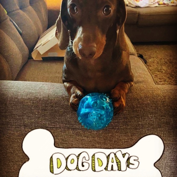 Meet your Posher, Shel - Picture 3 of 4